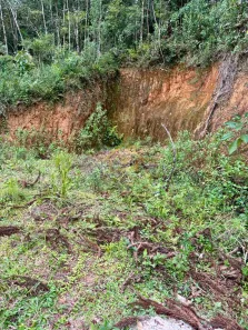 Terreno / Lote / Condomínio à venda, 20000m² no Quatro Barras, Quatro Barras