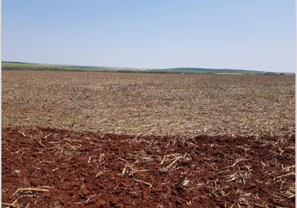 Fazenda / Sítio / Chácara com 3 Quartos à venda, 820000000m² no Centro, Maracaju