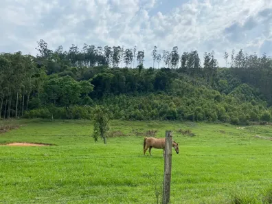 Fazenda / Sítio / Chácara com 4 Quartos à venda, 1000m² no , Alumínio