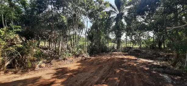 Terreno / Lote / Condomínio à venda, 4480m² no Busca Vida (Abrantes), Camaçari