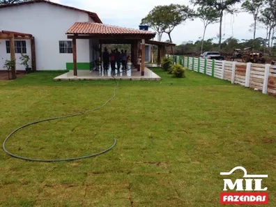 Fazenda / Sítio / Chácara à venda no , Lagoa da Confusão