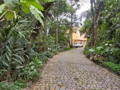 Conjunto Comercial / Sala para alugar, 205m² no Alphaville Graciosa, Pinhais