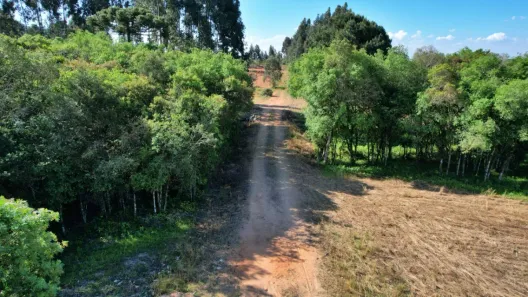 Fazenda / Sítio / Chácara com 1 Quarto à venda, 36000m² no Eucaliptos, Fazenda Rio Grande
