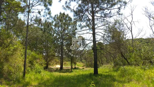 Fazenda / Sítio / Chácara com 8 Quartos à venda, 800m² no Vila Palmares, Franco da Rocha