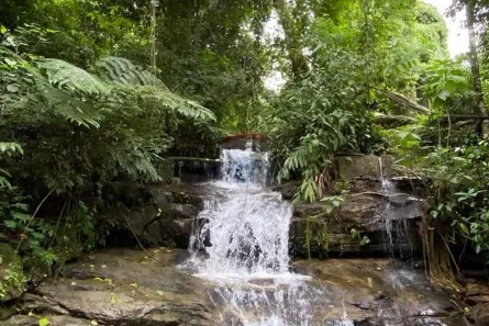 Fazenda / Sítio / Chácara com 2 Quartos à venda, 70m² no Sana, Macaé