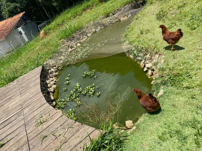 Fazenda / Sítio / Chácara com 3 Quartos à venda, 8000m² no , Mairinque