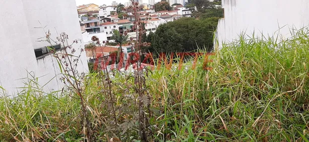 Terreno / Lote / Condomínio à venda, 350m² no Jardim Franca, São Paulo