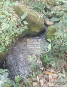 Fazenda / Sítio / Chácara com 2 Quartos à venda, 5100m² no , Rio Bonito