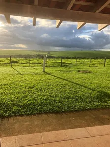 Fazenda / Sítio / Chácara com 3 Quartos à venda, 75m² no , Pompéia