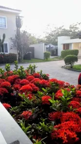 Casa de Condomínio com 2 Quartos à venda, 74m² no Serra Grande, Niterói