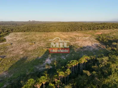 Fazenda / Sítio / Chácara à venda, 500m² no Setor Central, Ponte Alta do Tocantins