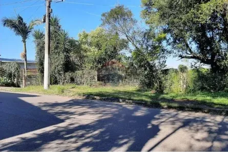 Fazenda / Sítio / Chácara à venda, 1923m² no Jardim Amélia, Pinhais