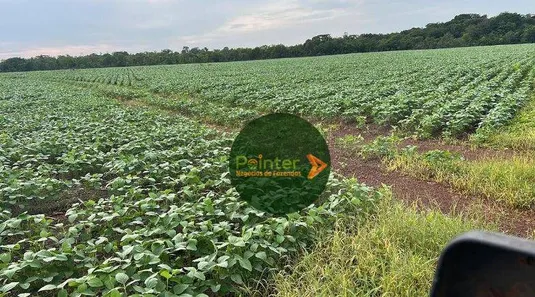 Fazenda / Sítio / Chácara à venda, 5030000m² no , Pedro Afonso