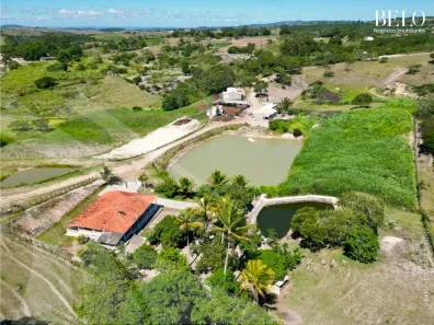 Fazenda / Sítio / Chácara com 3 Quartos à venda, 220000m² no , Sairé