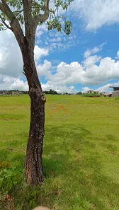 Terreno / Lote / Condomínio com 1 Quarto à venda, 1475m² no , Sertanópolis