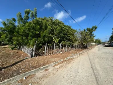 Terreno / Lote / Condomínio para alugar, 1139m² no Centro, Eusébio