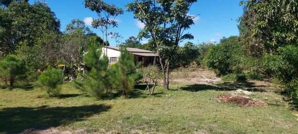Fazenda / Sítio / Chácara com 3 Quartos à venda, 20000m² no Brazlândia, Brasília