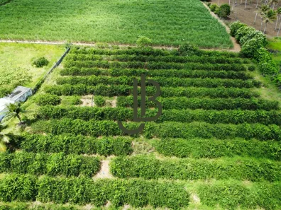 Fazenda / Sítio / Chácara com 2 Quartos à venda, 100m² no Centro, Alhandra