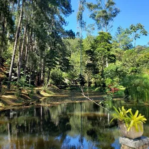 Fazenda / Sítio / Chácara com 5 Quartos à venda, 200m² no Prado, Nova Friburgo