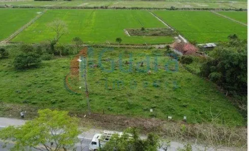 Terreno / Lote / Condomínio à venda, 7942m² no Centro, Massaranduba