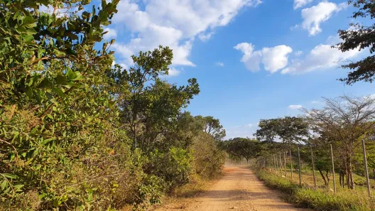Terreno / Lote / Condomínio à venda, 32000m² no , Taquaraçu de Minas