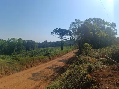 Fazenda / Sítio / Chácara à venda, 20000m² no Área Rural de Campo Largo, Campo Largo