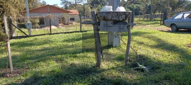 Fazenda / Sítio / Chácara com 4 Quartos à venda, 3200m² no Campo Alto, Tijucas do Sul
