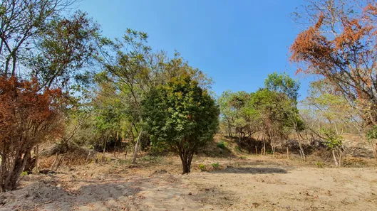 Terreno / Lote / Condomínio à venda, 20000m² no Centro, Fortuna de Minas