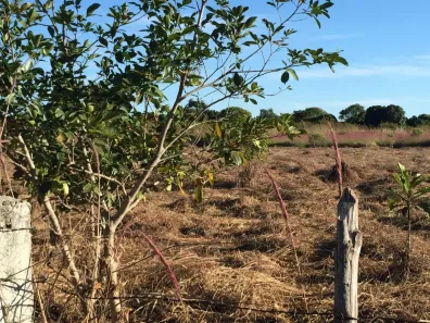Fazenda / Sítio / Chácara à venda, 20000m² no Núcleo Rural Lago Oeste, Brasília