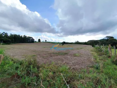Fazenda / Sítio / Chácara com 2 Quartos à venda, 400m² no , Guaraniaçu