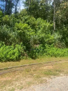 Terreno / Lote / Condomínio à venda, 550m² no Jardim das Cerejeiras, Arujá