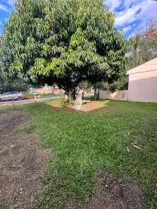 Terreno / Lote / Condomínio à venda, 384m² no Pé de Plátano, Santa Maria