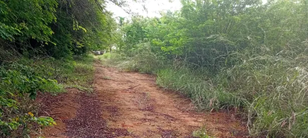 Terreno / Lote / Condomínio à venda, 20000m² no Park Way, Brasília
