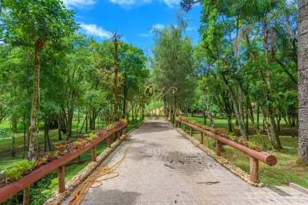 Fazenda / Sítio / Chácara com 4 Quartos à venda, 10m² no Colônia Balbino Cunha, Campo Largo