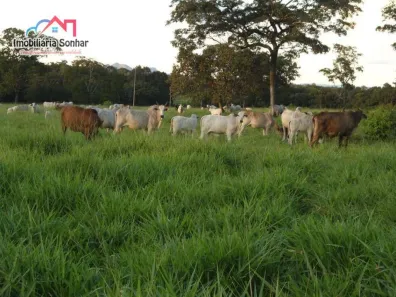Fazenda / Sítio / Chácara com 2 Quartos à venda, 160m² no Centro, Pium