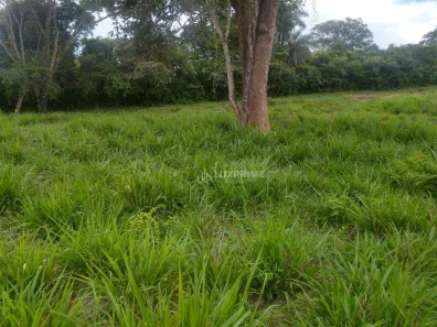 Fazenda / Sítio / Chácara à venda, 1161600m² no , Rio Sono