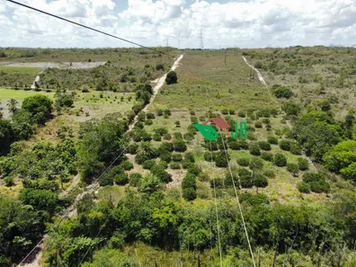 Fazenda / Sítio / Chácara com 2 Quartos à venda, 160000m² no Mata Redonda, Alhandra