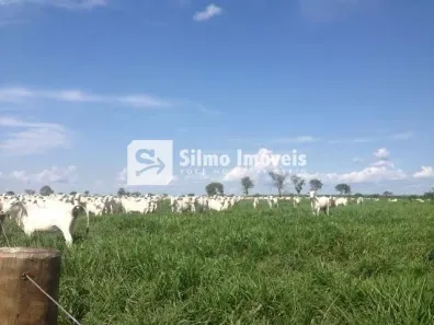 Fazenda / Sítio / Chácara com 1 Quarto à venda, 10m² no , Lagoa da Confusão