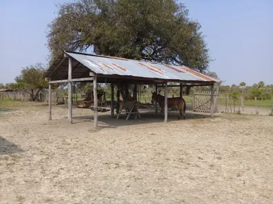 Fazenda / Sítio / Chácara com 3 Quartos à venda, 31000000m² no , Porto Murtinho