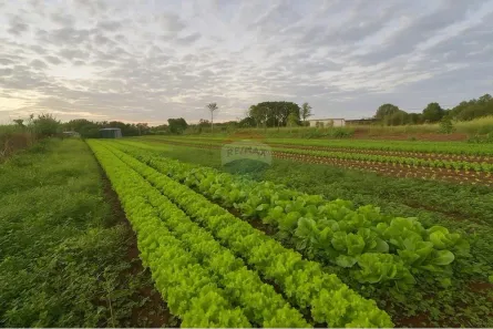 Fazenda / Sítio / Chácara com 3 Quartos à venda, 5200m² no Náutica, Foz do Iguaçu