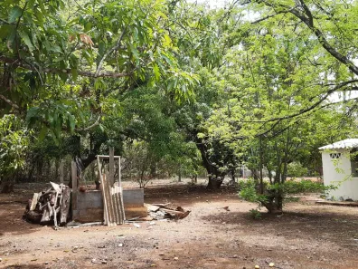Fazenda / Sítio / Chácara com 2 Quartos à venda, 10000m² no Centro, Padre Bernardo