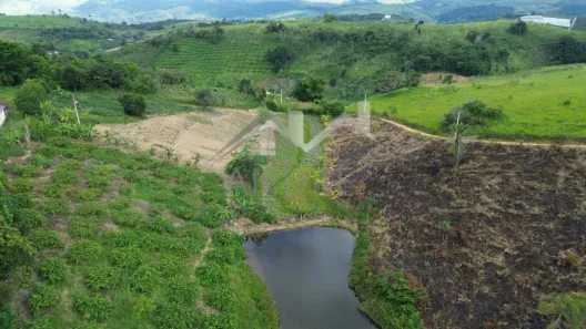 Fazenda / Sítio / Chácara com 2 Quartos à venda, 60000m² no Área Rural de Gravatá, Gravatá