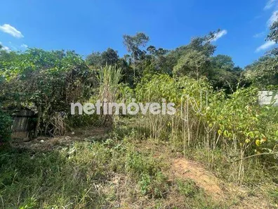 Terreno / Lote Comercial à venda, 360m² no , Florestal