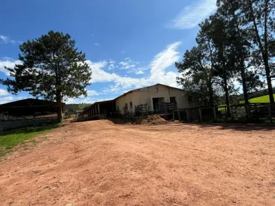 Fazenda / Sítio / Chácara à venda, 6580000m² no Área Rural de Pouso Alegre, Pouso Alegre