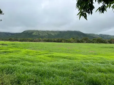 Fazenda / Sítio / Chácara com 2 Quartos à venda, 726000m² no , Vila Boa