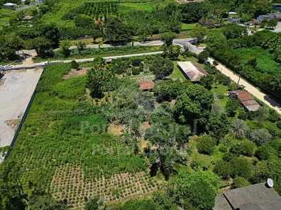Fazenda / Sítio / Chácara com 3 Quartos à venda, 10000m² no Sampaio Correia (Sampaio Correia), Saquarema