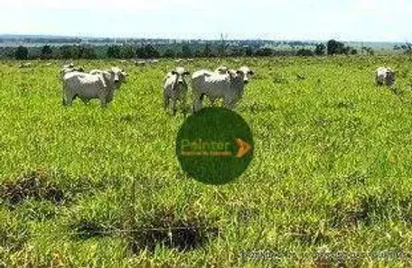 Fazenda / Sítio / Chácara à venda, 94750000m² no Parque da Barragem Setor 08, Águas Lindas de Goiás
