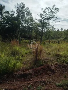 Fazenda / Sítio / Chácara com 1 Quarto à venda, 2000m² no , Bandeirantes