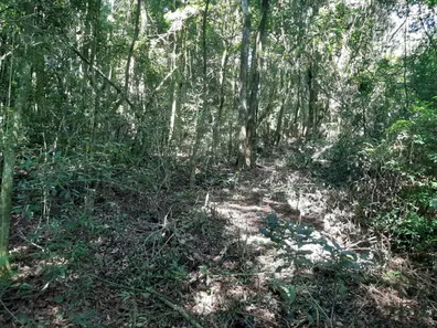 Fazenda / Sítio / Chácara com 1 Quarto à venda, 7000m² no Contenda, Contenda