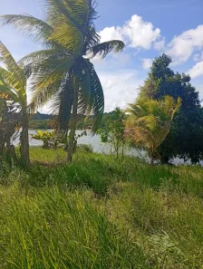 Fazenda / Sítio / Chácara com 3 Quartos à venda, 2900m² no , Mata de São João